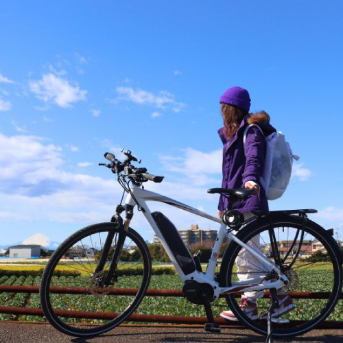 電動アシスト自転車