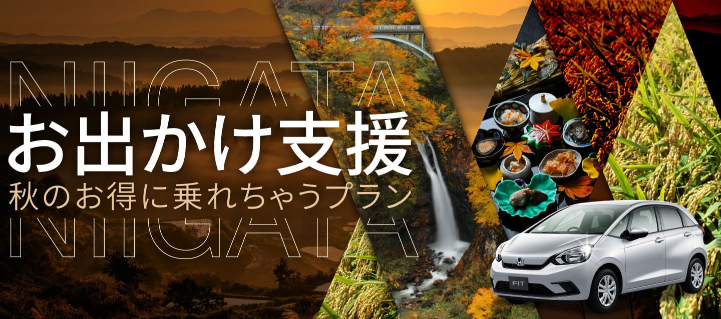 お出かけ支援 ! 秋のお得に乗れちゃうプラン