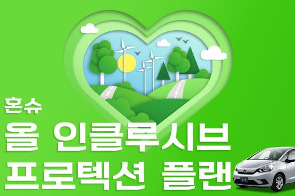 올 인클루시브 프로텍션 플랜 혼슈